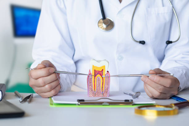 Best Emergency Root Canal Treatment in Glens Falls North, NY